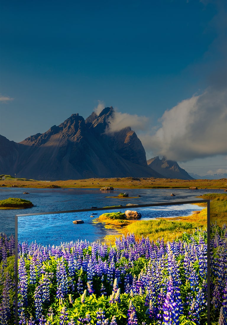 Revolutsiooniliselt selge ja heade värvidega Full HD pilt